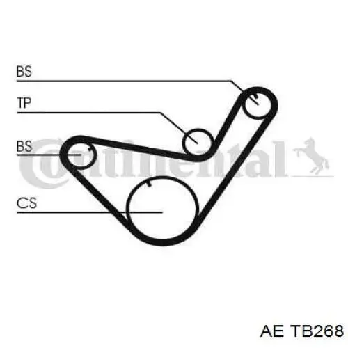 Ремінь балансувального вала TB268 AE
