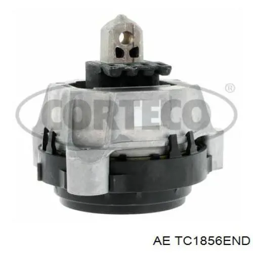 Ланцюг масло насоса AE TC1856END ціна, від 25.31 USD