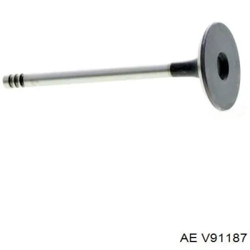 V91187 AE клапан впускний