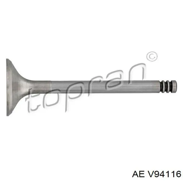 Клапан впускний FR6013 Freccia