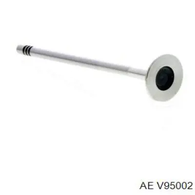 V95002 AE Випускний клапан двигуна