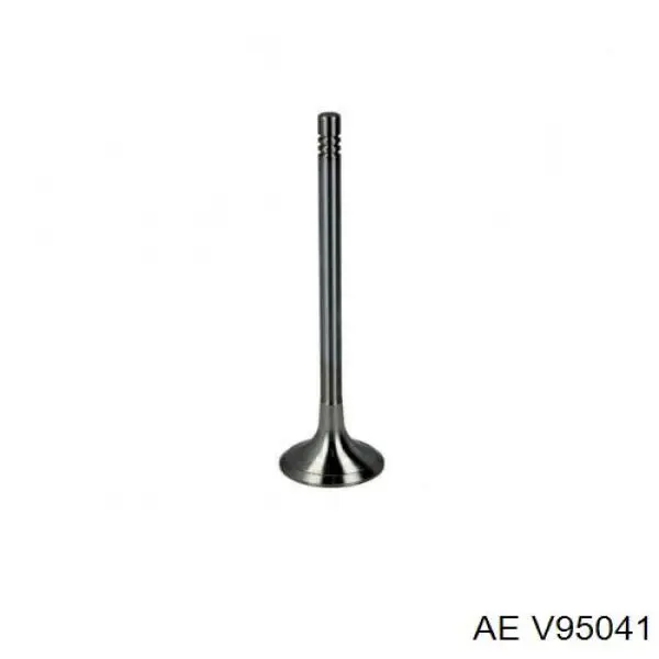 Купити V95041 AE Клапан випускний