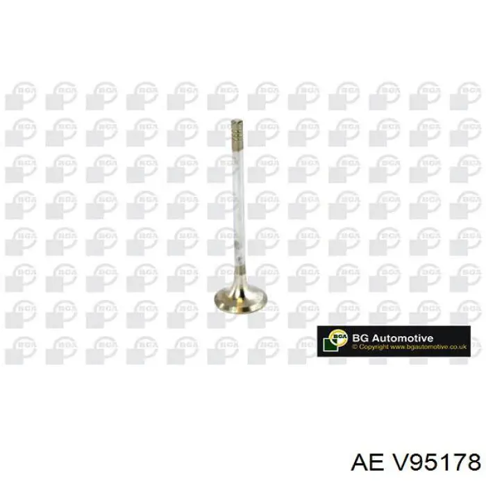 V95178 AE Випускний клапан двигуна