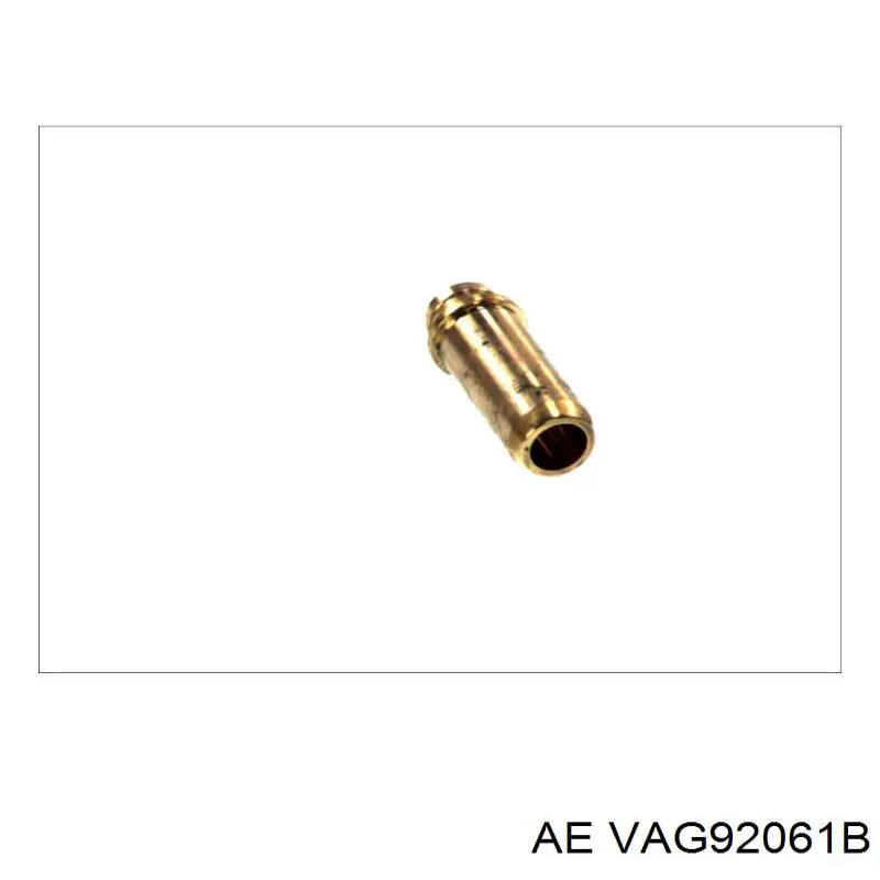 VAG92061B AE Напрямна клапана