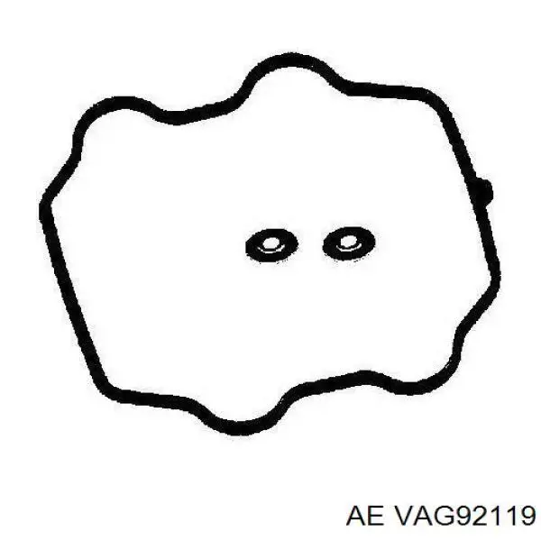VAG92119 AE направляюча клапана