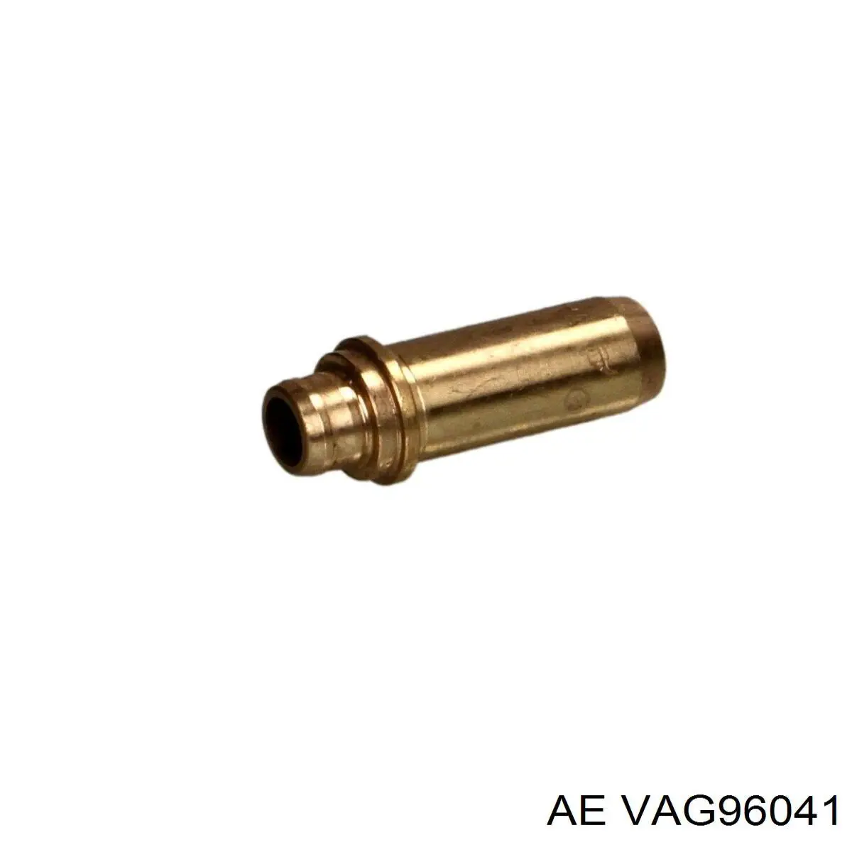 VAG96041 AE направляюча клапана