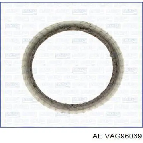 VAG96069 AE Напрямна клапана