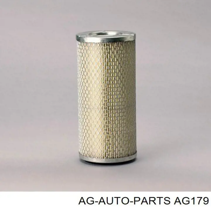 Купити C121141 Mann-Filter Автомобільний фільтр повітря