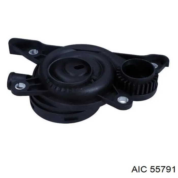 Клапан ВКГ AIC 55791