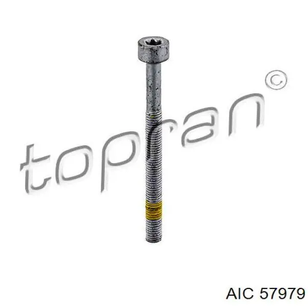 Купити 57979 AIC Болт кріплення форсунки