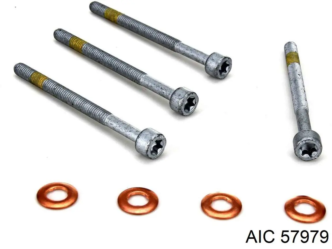 Болт кріплення форсунки 57979 AIC