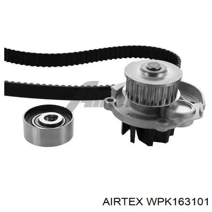 Купити WPK163101 Airtex ГРМ ремень
