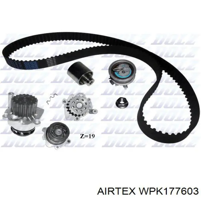 Купити WPK177603 Airtex ГРМ ремень