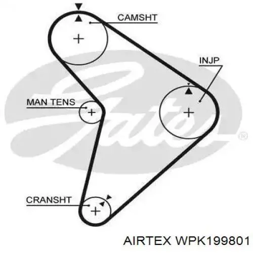 Купити WPK199801 Airtex ГРМ ремень
