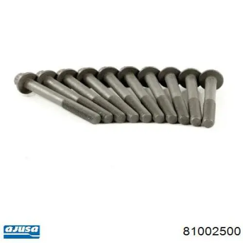 Купити 81002500 Ajusa Болт гбц