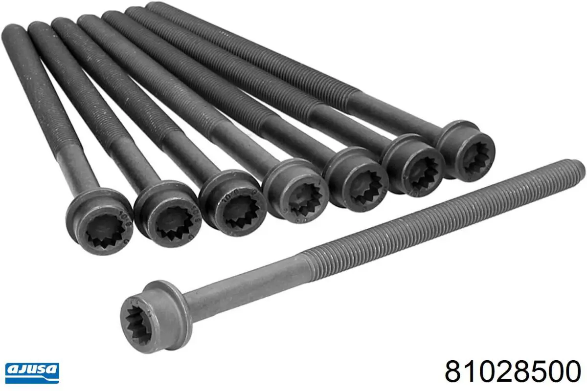 Купити B1059 FAI Болт гбц