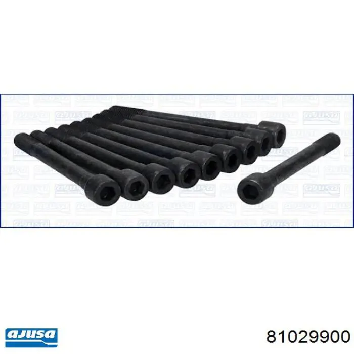 Купити 81029900 Ajusa Болт гбц