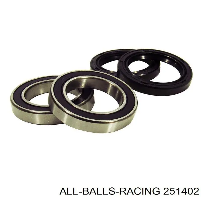 251402 ALL Balls Racing 