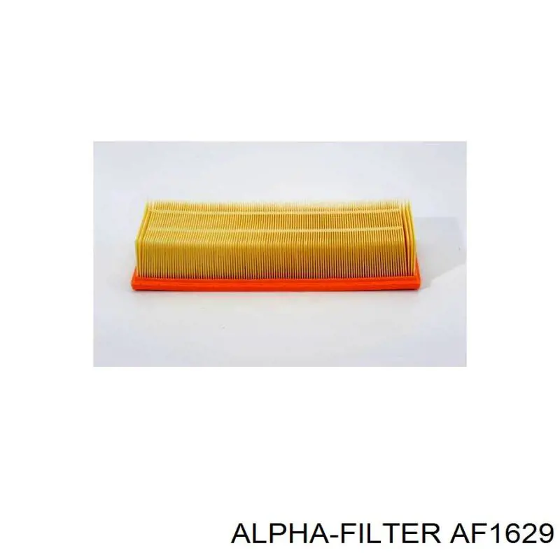  AF1629 Alpha Filter