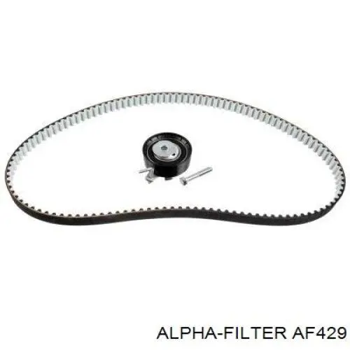 AF429 Alpha Filter Фільтр палива