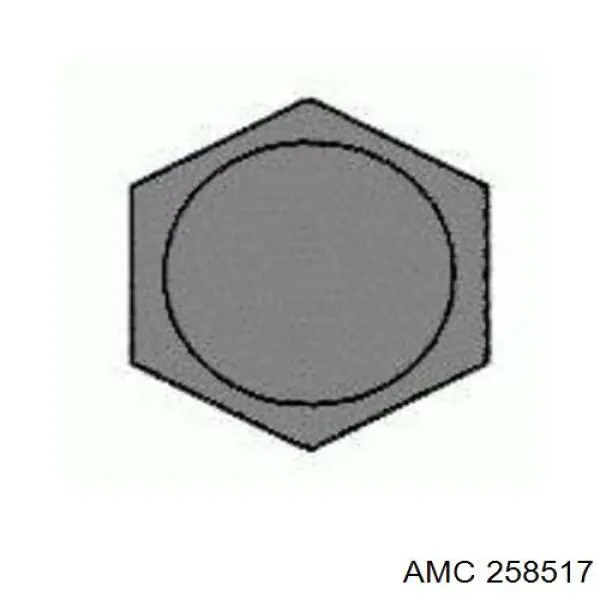 Болт ГБЦ 258517 AMC