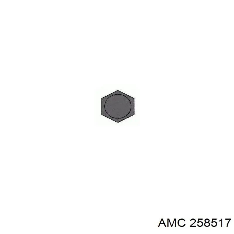 Болт ГБЦ 258517 AMC