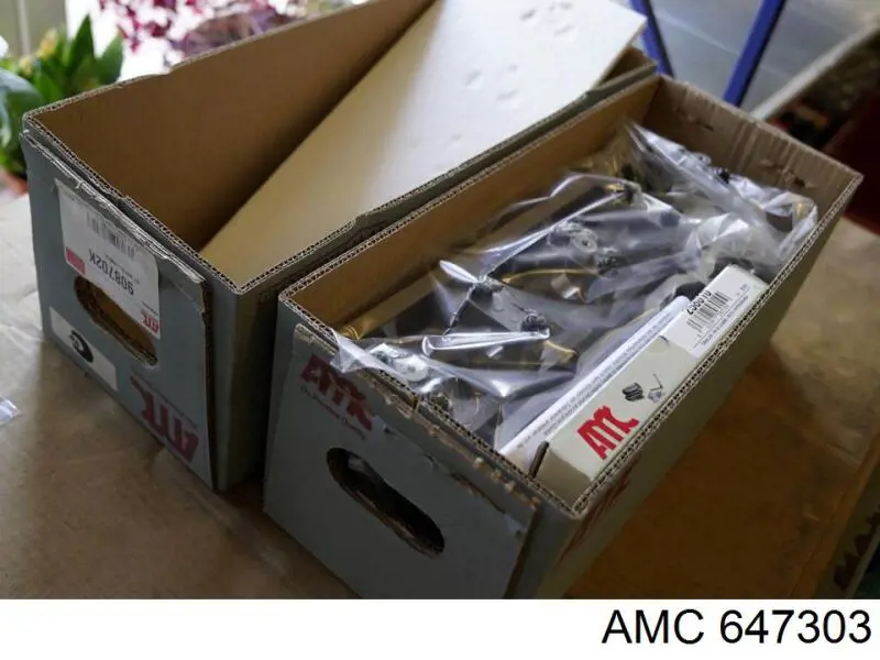 Розподільний вал 647303 AMC