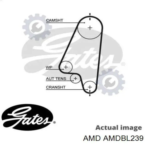 AMDBL239 AMD ремінь грм