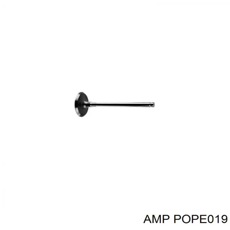 POPE019 AMP/Paradowscy клапан впускний