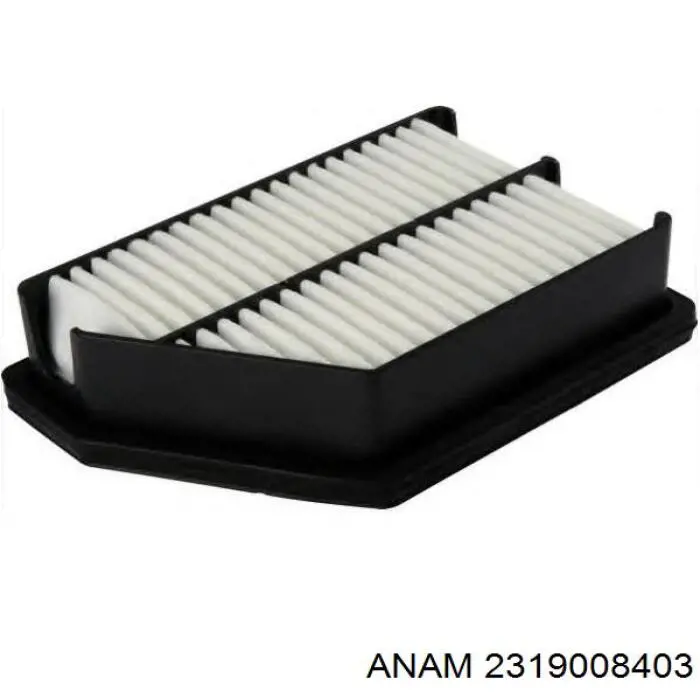 Повітряний фільтр 2319008403 Anam