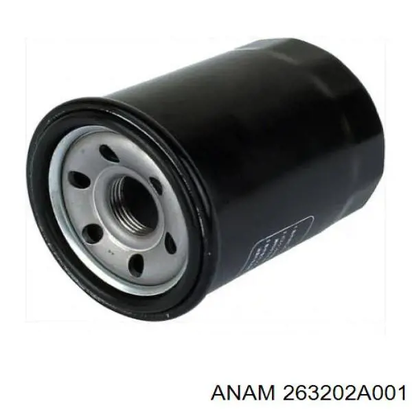 263202A001 Anam Фільтр масла