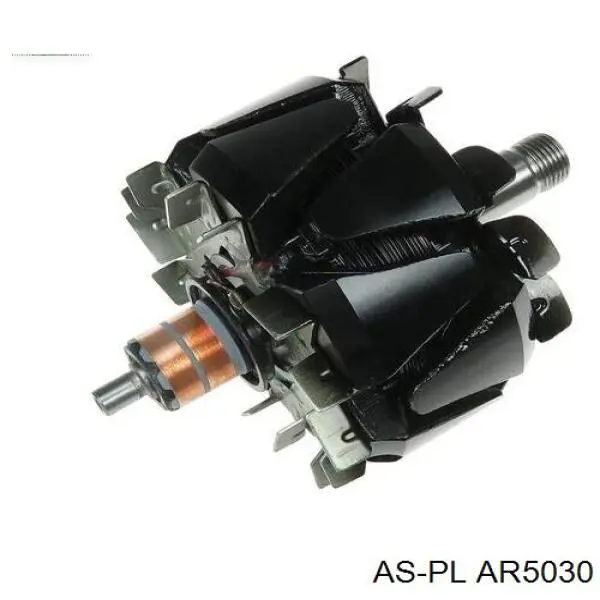 Якір (ротор) генератора As-pl AR5030 ціна, від 50.29 USD