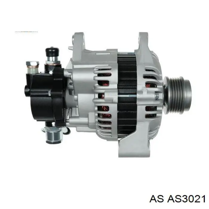 AS3021 AS/Auto Storm Обмотка генератора, статор