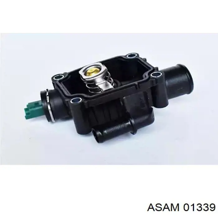 Термостат в зборі Asam 01339