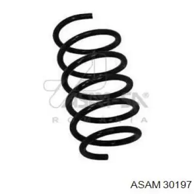 Пружина передня Asam 30197 ціна, від 15.81 USD