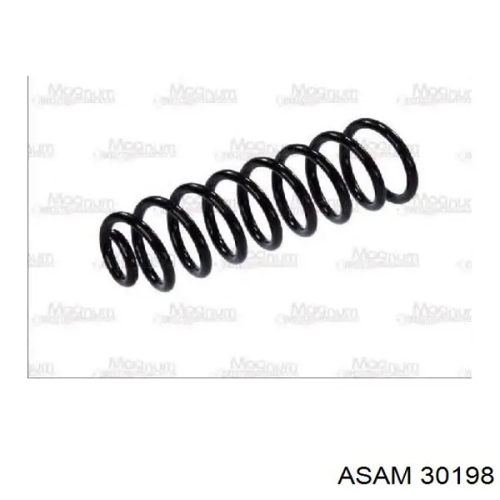 Купити 30198 Asam Задні пружини