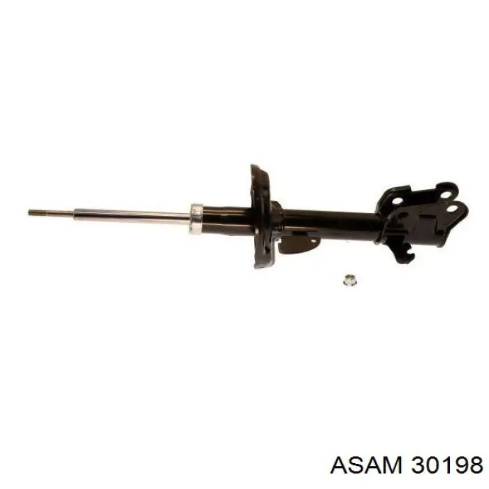 Пружини задні Asam 30198