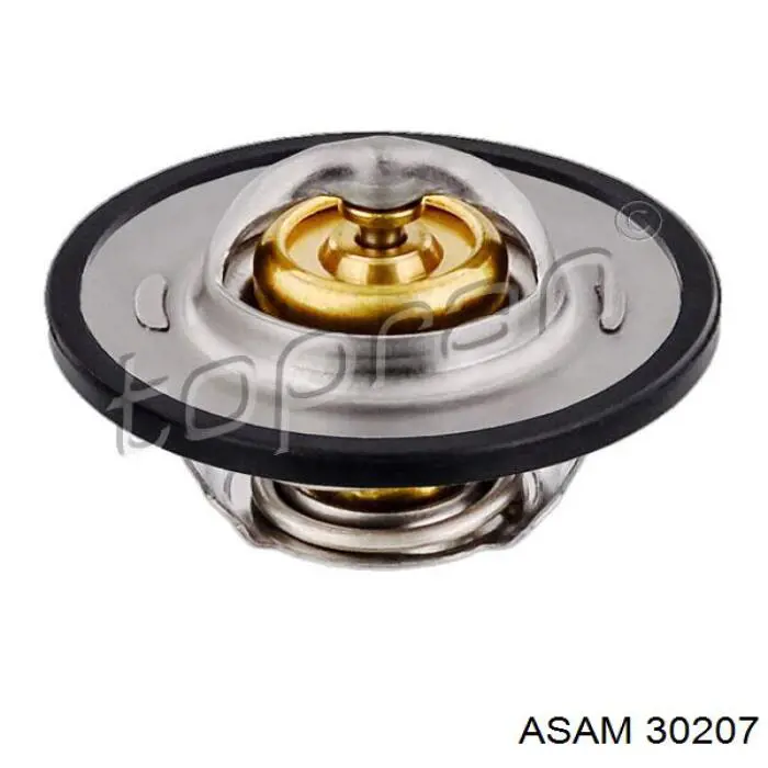 30207 Asam заглушка/ решітка протитуманних фар бампера переднього, права