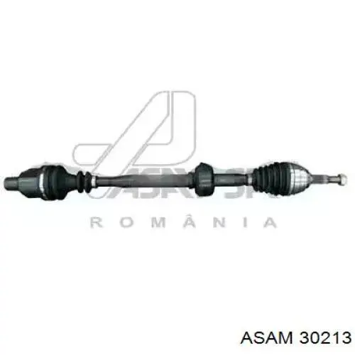 Купити 30213 Asam Піввісь права