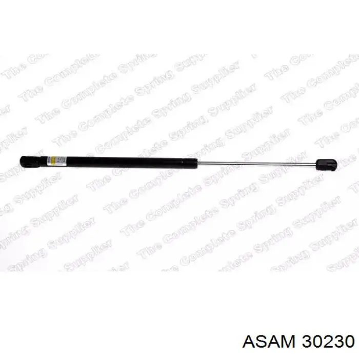 Купити 30230 Asam Амортизатор двері багажника
