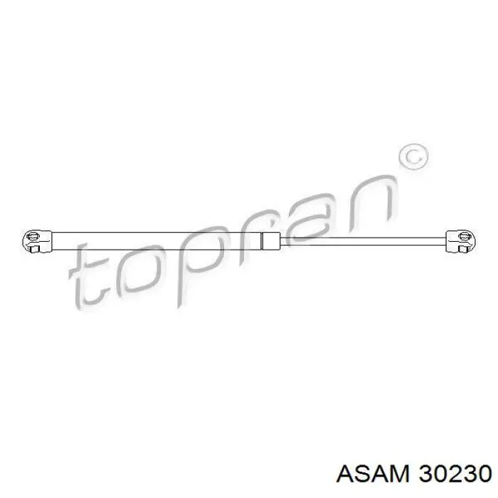 Купити 6001545836 Renault (RVI) Амортизатор двері багажника