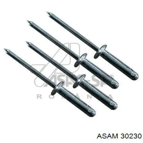 Амортизатор багажника 6001545836 Renault (RVI)