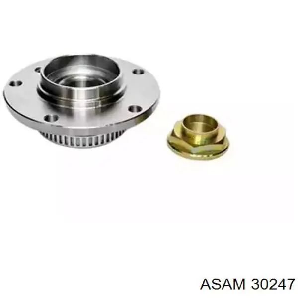 Цапфа - поворотний кулак задній Asam 30247 ціна, від 12.86 USD
