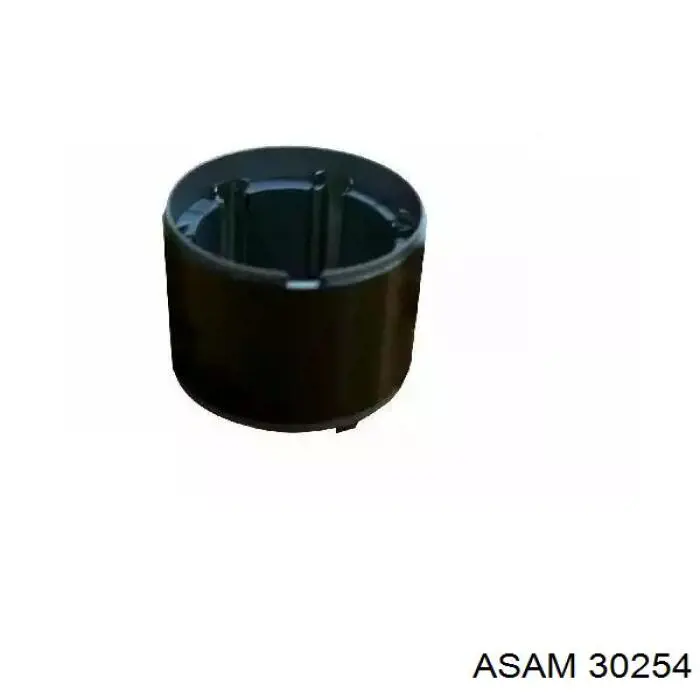 Обмотка стартера, статор Asam 30254 ціна, від 18.23 USD