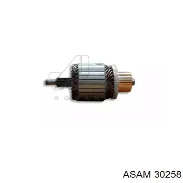 30258 Asam якір (ротор стартера)