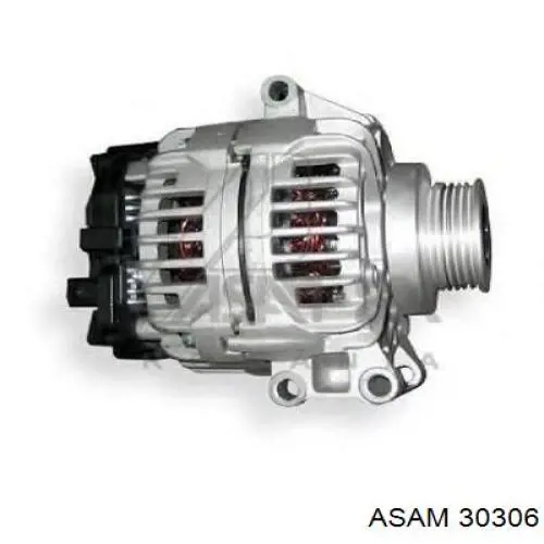 30306 Asam генератор