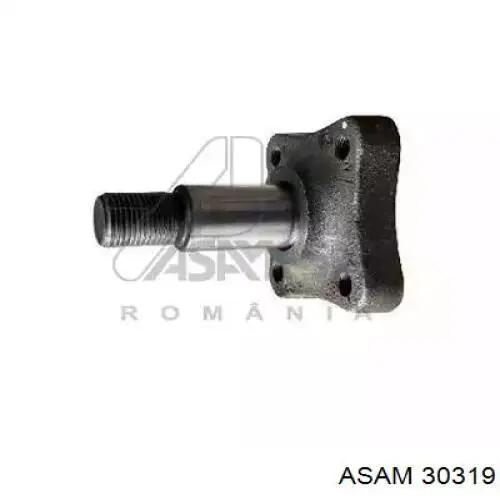 Купити 8200490662 Renault (RVI) Цапфа - поворотний кулак задній