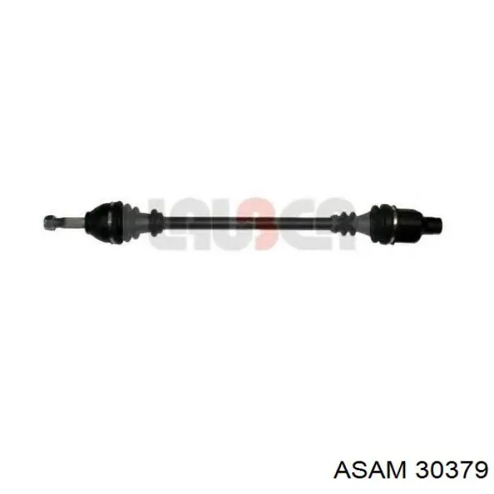 Купити 30379 Asam Піввісь права