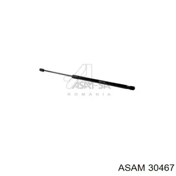 Амортизатор двері задньої Asam 30467 ціна, від 6.88 USD