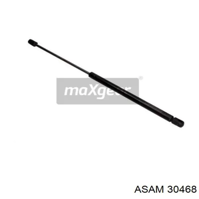 Амортизатор двері задньої Asam 30468 ціна, від 7.45 USD